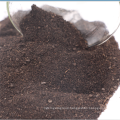 Hot sale plant bio organic fertilizer bacteria